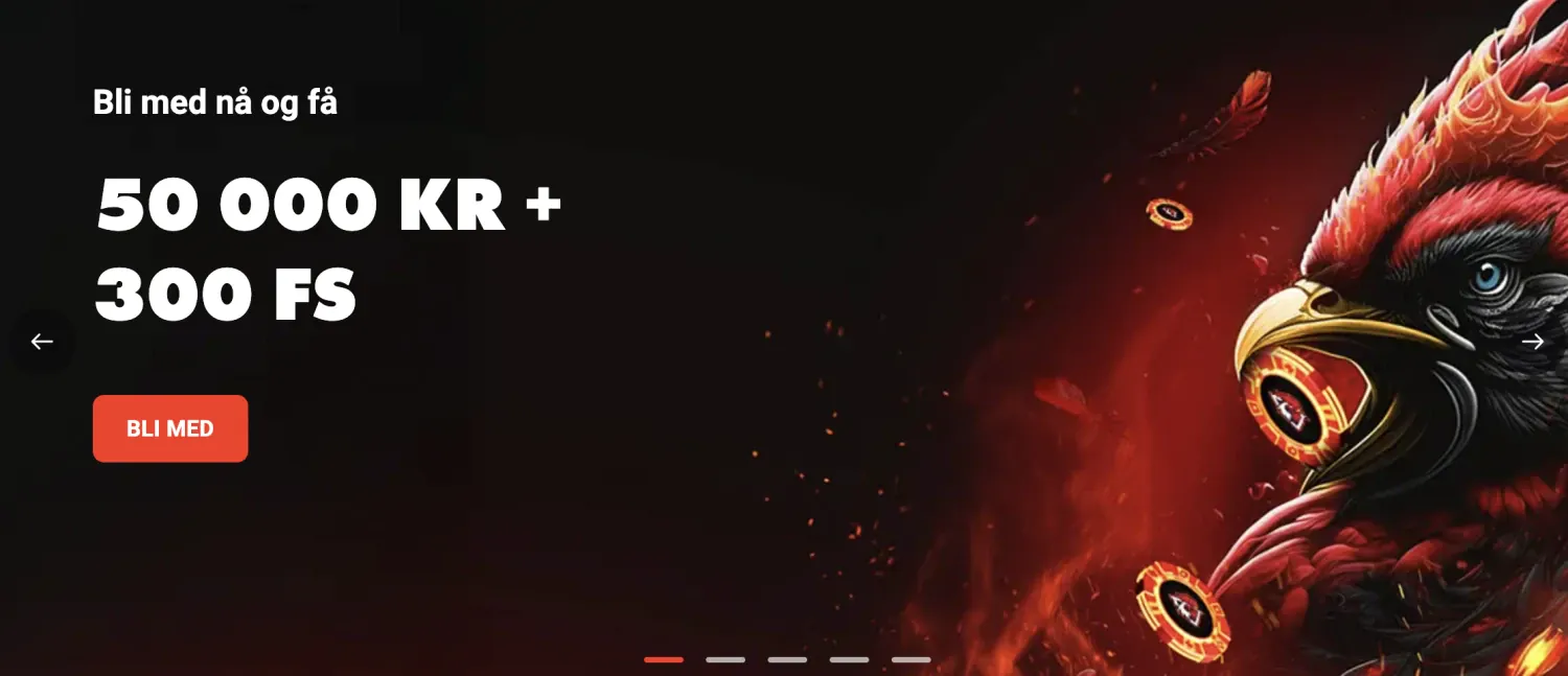 Promotional Banner